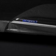 RX 270-350-450h CARBON